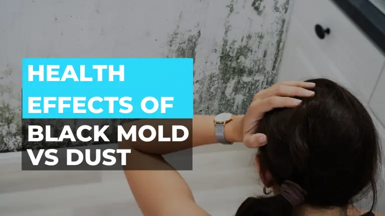 Health Effects of Black Mold Vs Dust