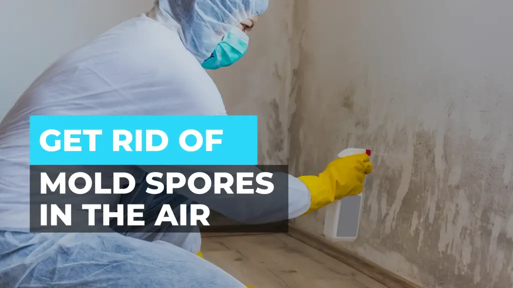 How to Get Rid Of Mold Spores in the Air