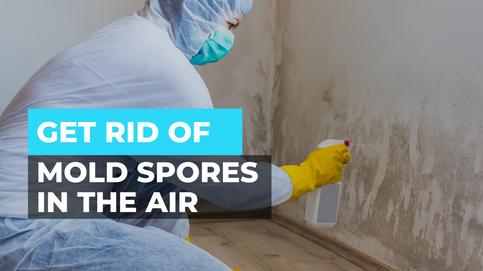 how-to-get-rid-of-mold-spores-in-the-air-nerd-hints