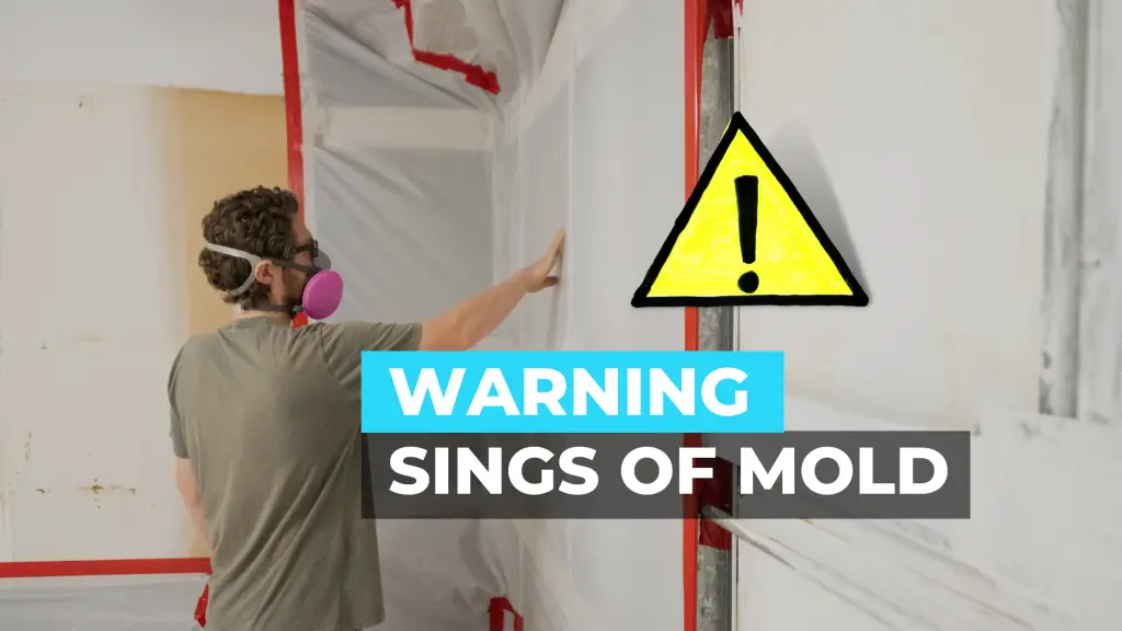 warning-signs-of-mold-in-home-or-business-nerd-hints