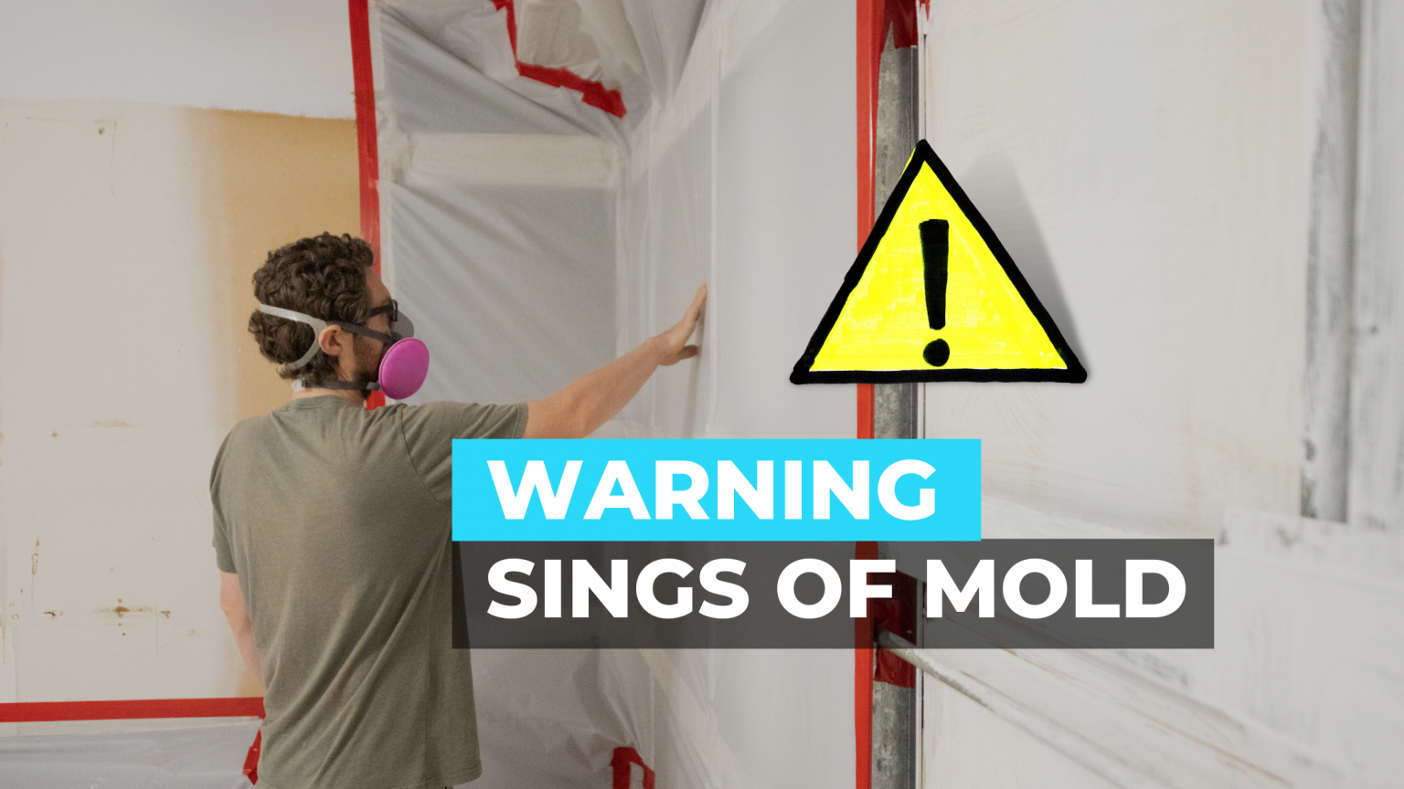 Warning Signs Of Mold In Home Or Business - Nerd Hints